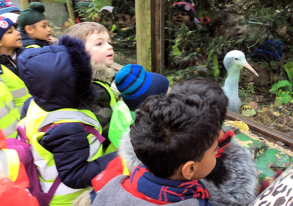 Year 1 at the Wildlife Conservation Park